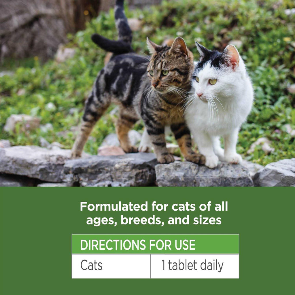 Oral Flea & Tick Chews for Cats 120 ct E2793