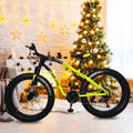 26-inch Fat Tire 21-Speed Mountain Bike K2006