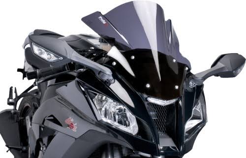 Dark Smoke Racing Windscreen J443859