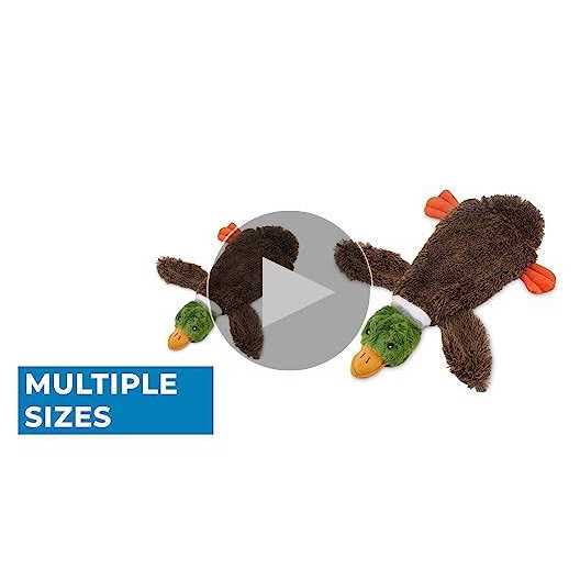 Stuffless Squeaky Dog Toys R38076