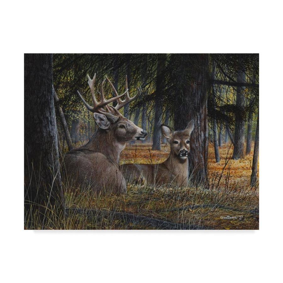 Autumn Royalty Canvas Art X8004