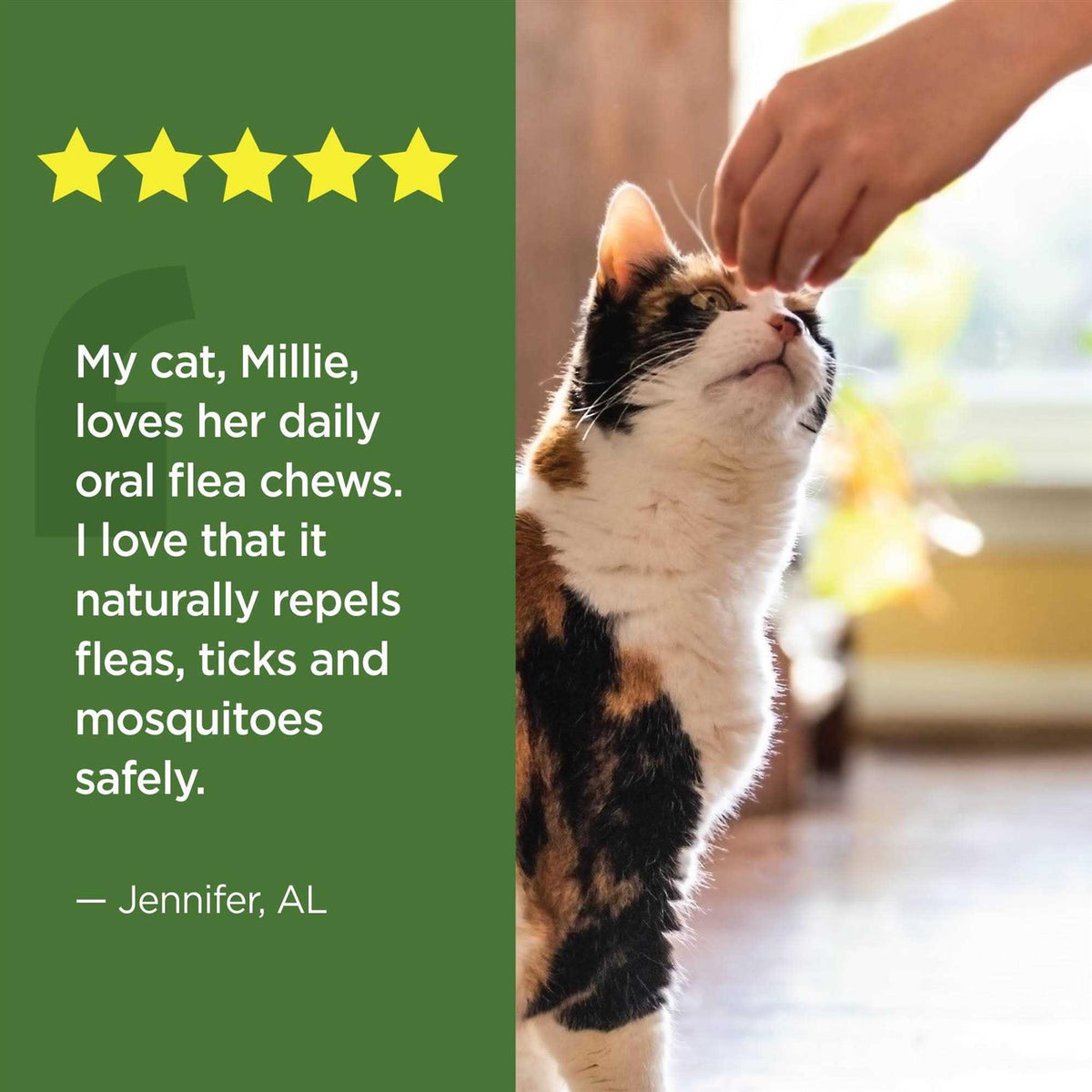 Oral Flea & Tick Chews for Cats 120 ct E2793