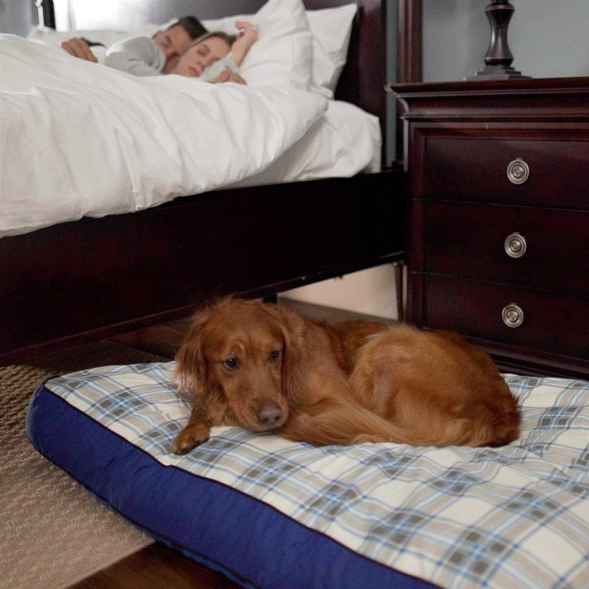 Dog Bed H960