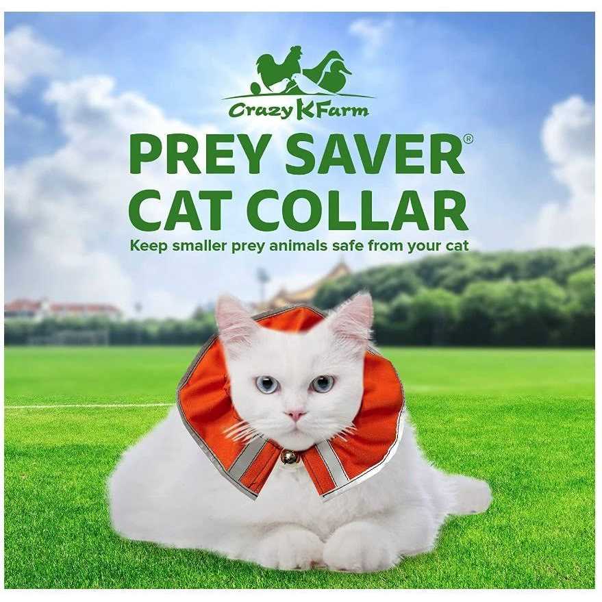 Cat Collar H188241