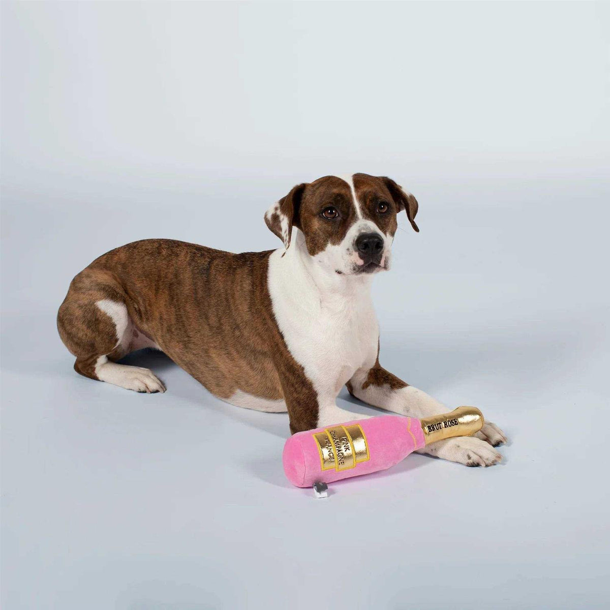 Plush Dog Toy T7508