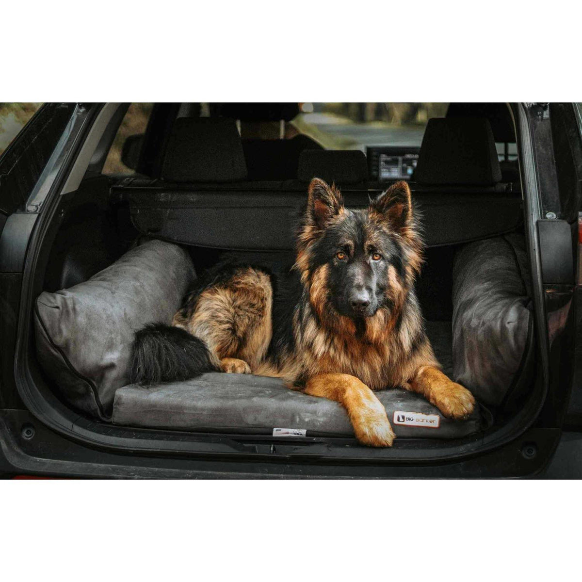 Travel Bed W941