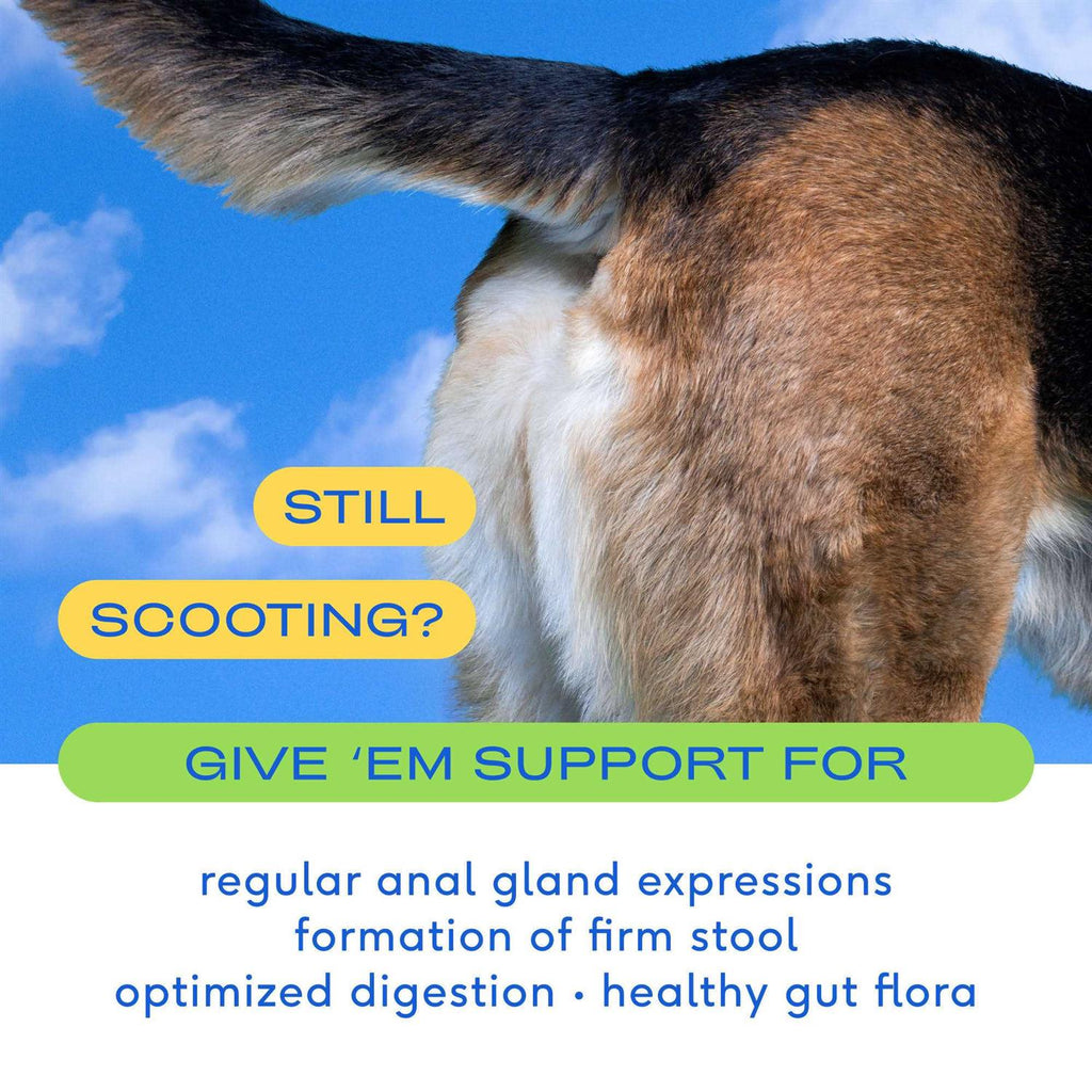 Anal Gland Supplement for Dogs M63963