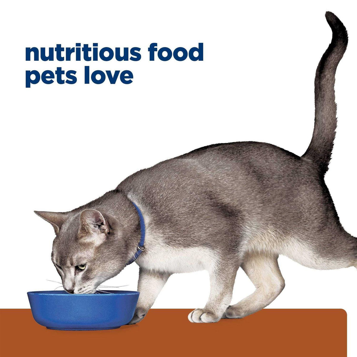 Kidney Care Cat Dry Food W248