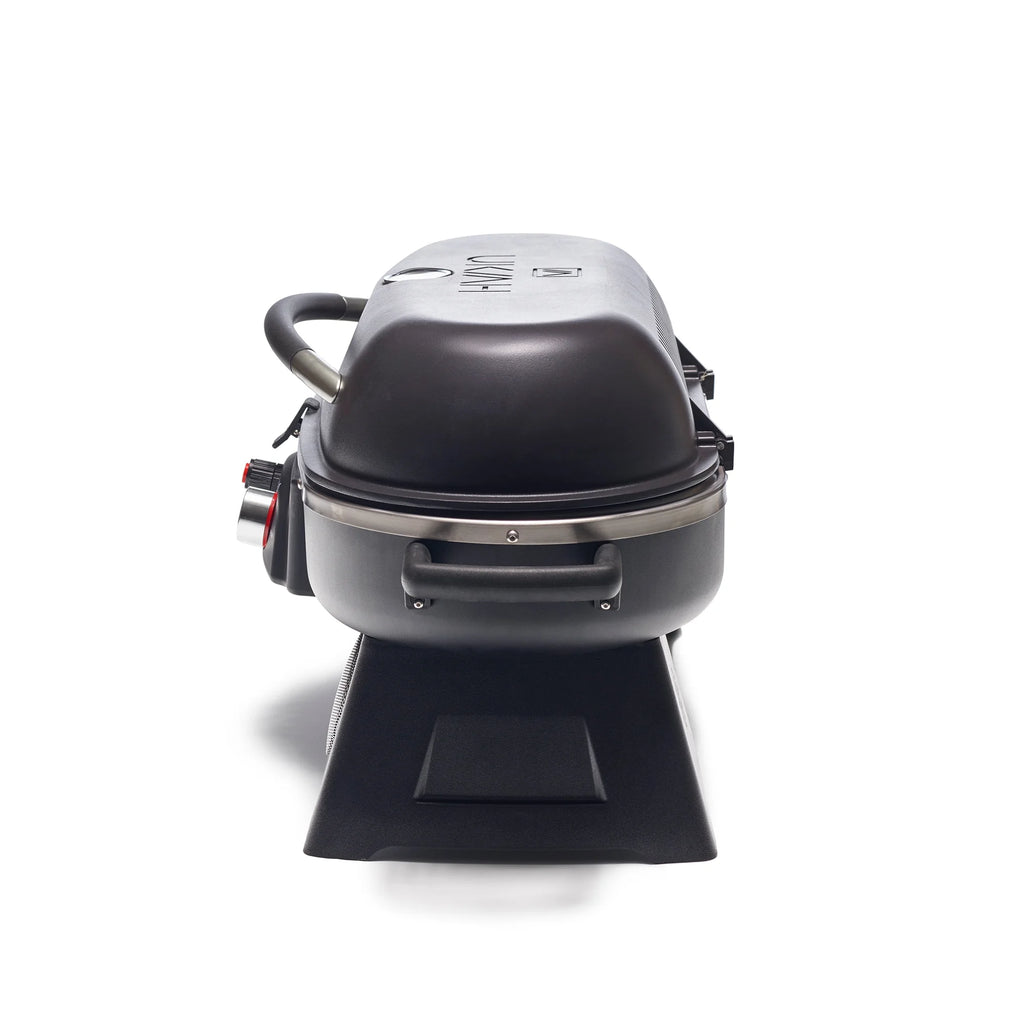 Portable Wireless Outdoor Propane Grill F363117