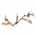 Forest Branch D35778