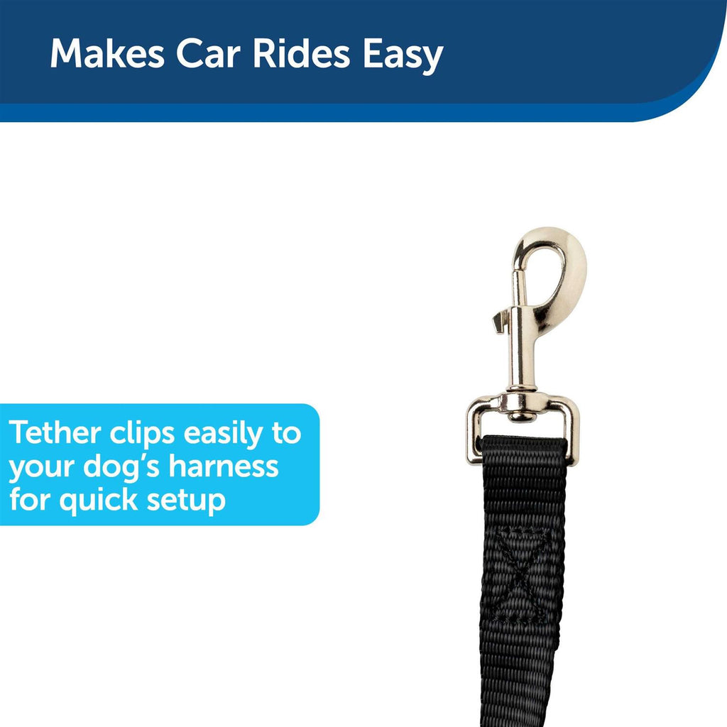 Dog Zipline T547