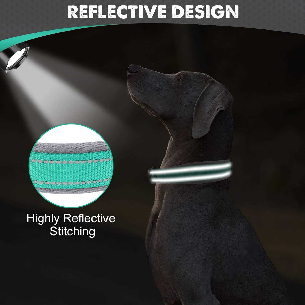 Reflective Soft Neoprene Padded Nylon Dog Collar N969