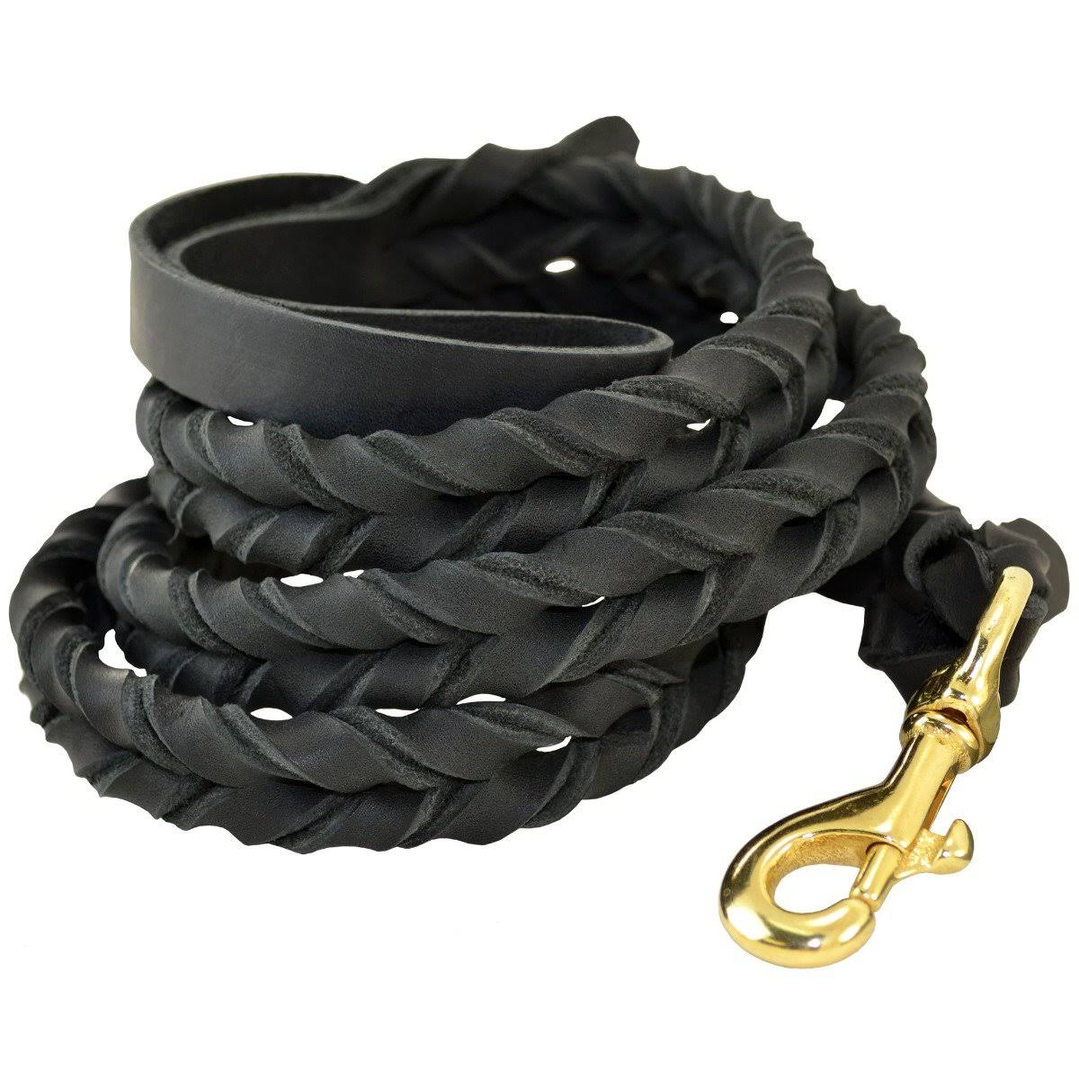Full-Braided Leather Dog Leash R689738