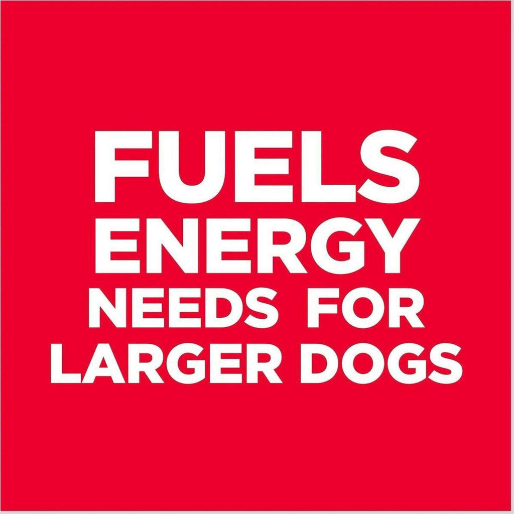 Adult 6+ Large Breed Chicken Meal Dry Dog Food N871807