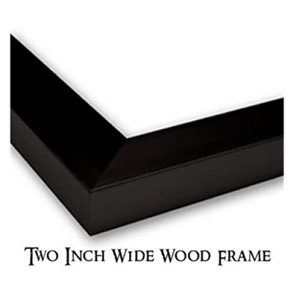 Black Modern Framed Museum Art Print A82065