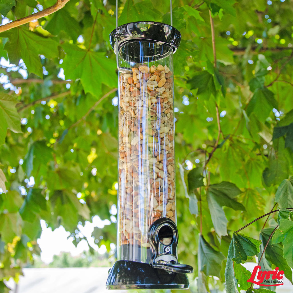 20 lb. No Waste Bird Seed with Shell-Free Nuts & Seeds D179
