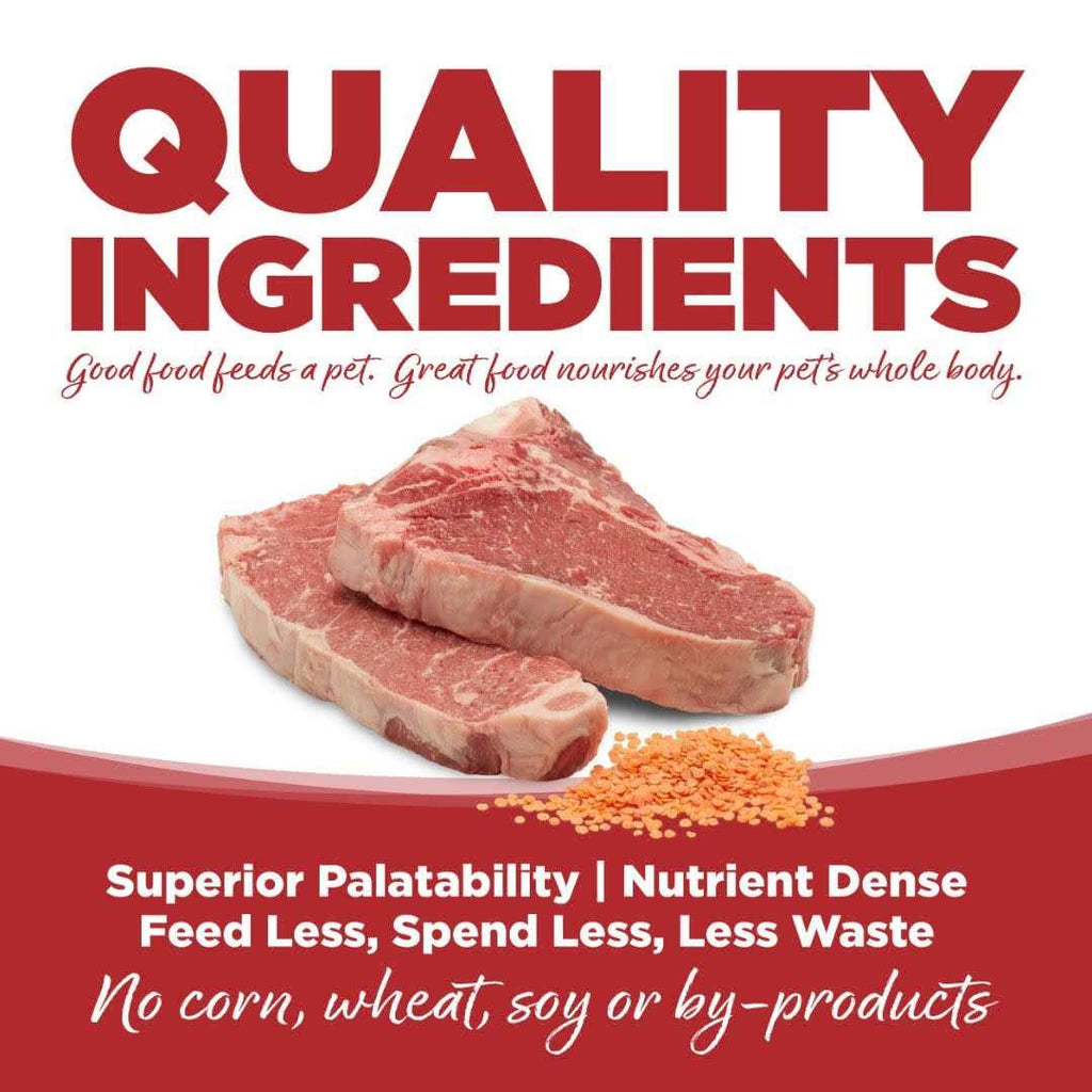 Beef & Red Lentils Grain Free Dry Dog Food C715867