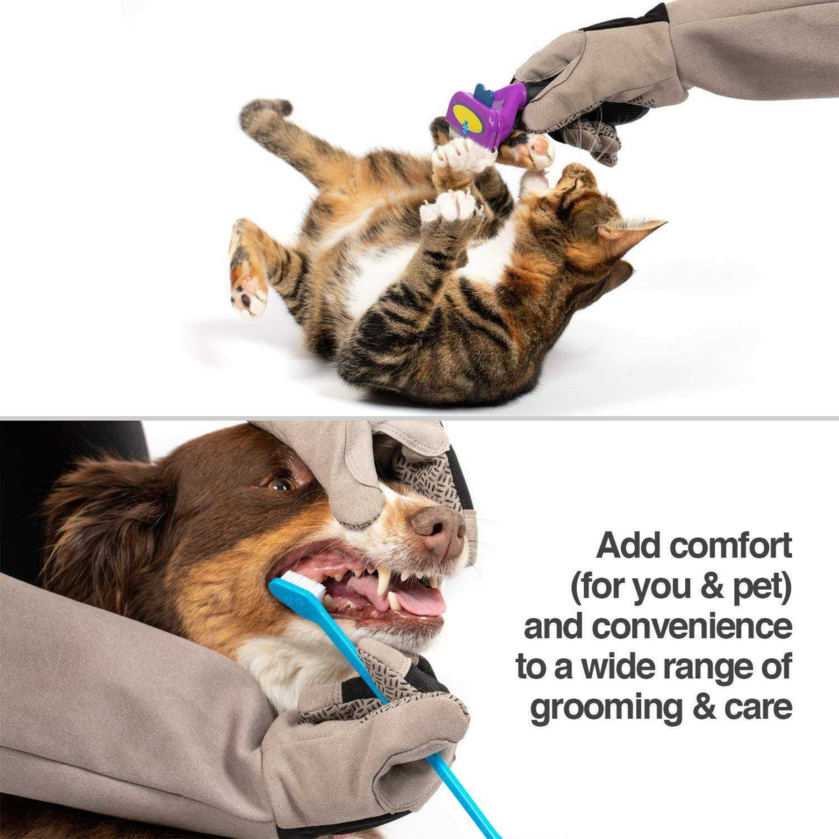 Multipurpose Pet Grooming Glove G11801