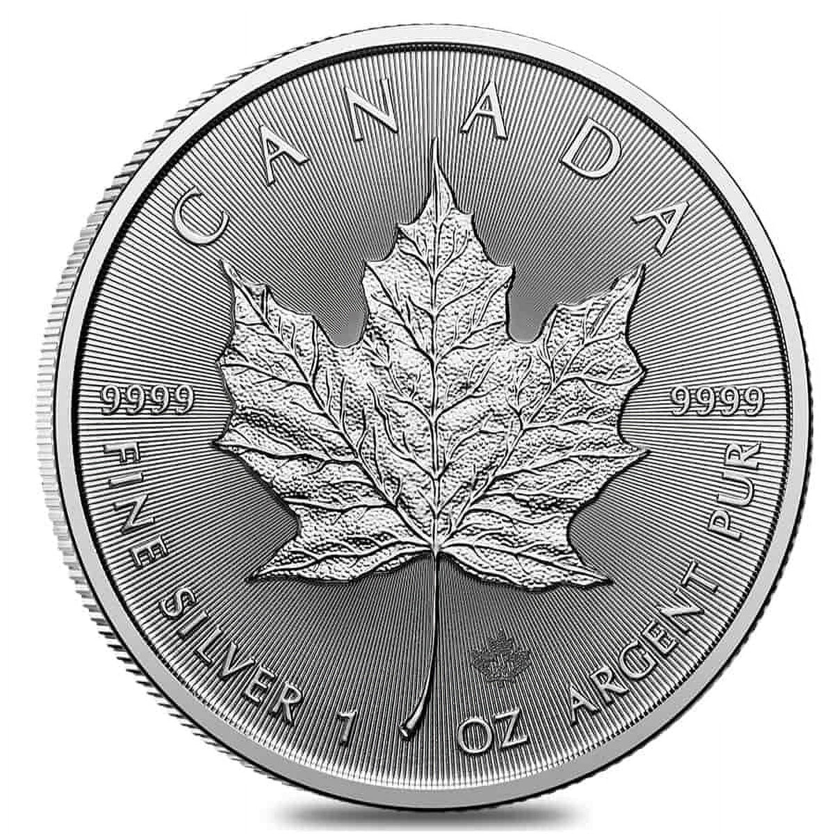 10 1 oz Canadian Silver Maple Leaf Coin J96254