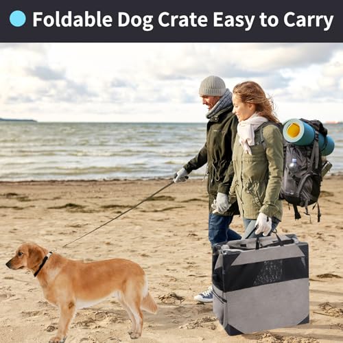 30 Inch Light Grey Collapsible Soft Dog Crate D28882