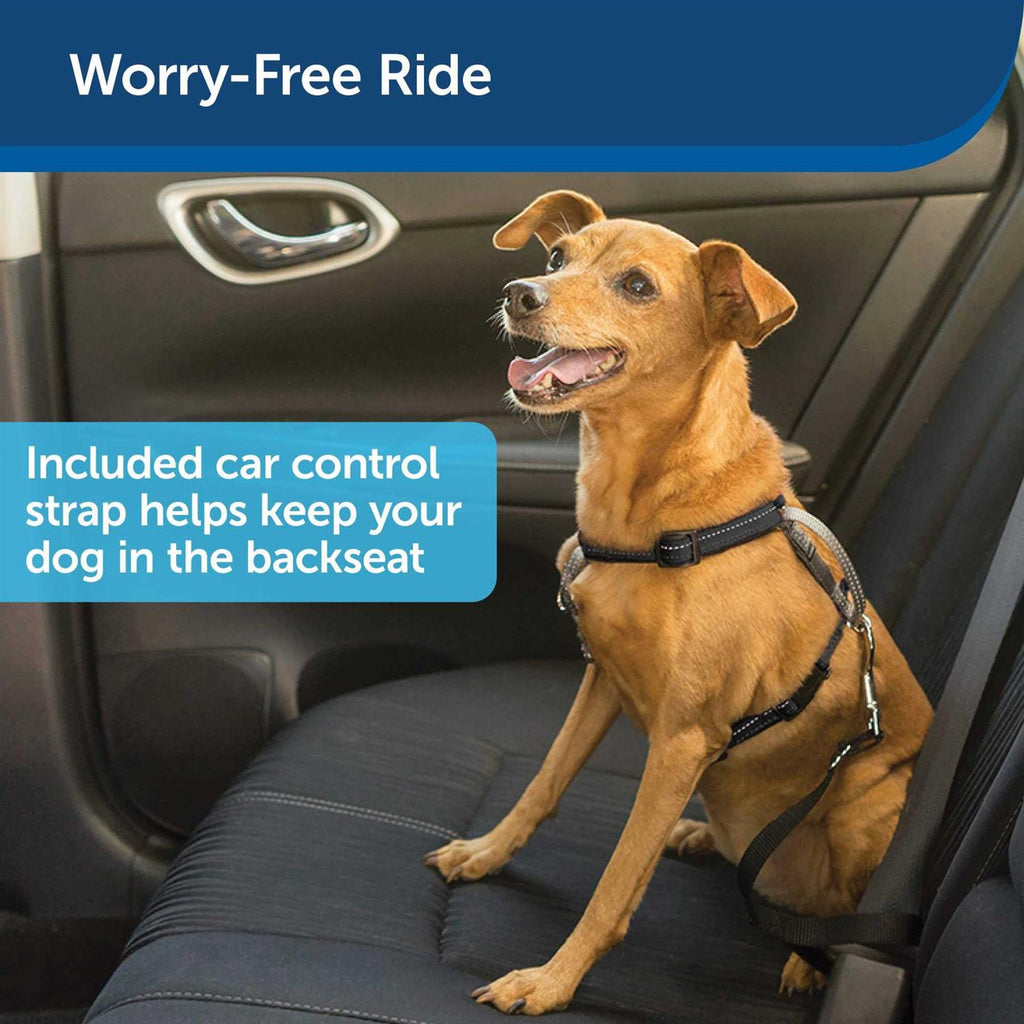 3 in 1 Harness with Leash N717464