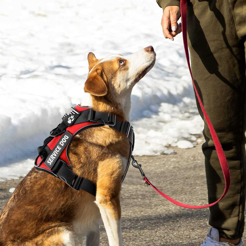 Reflective Dog Vest Harness with 5 PCS Patches R9813