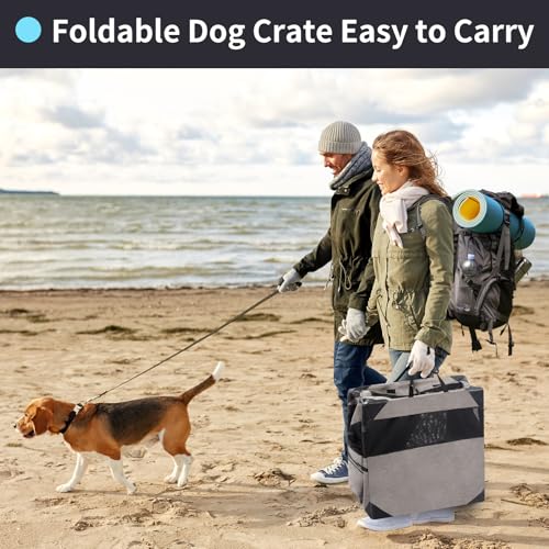 30 Inch Light Grey Collapsible Soft Dog Crate D28882
