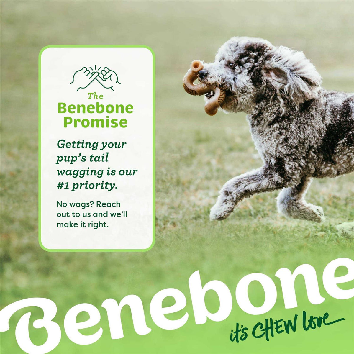 Dog Chew Q783