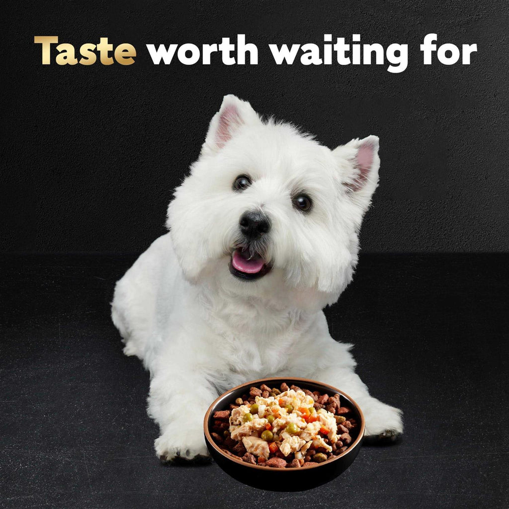 Chicken Wet Dog Food H620632