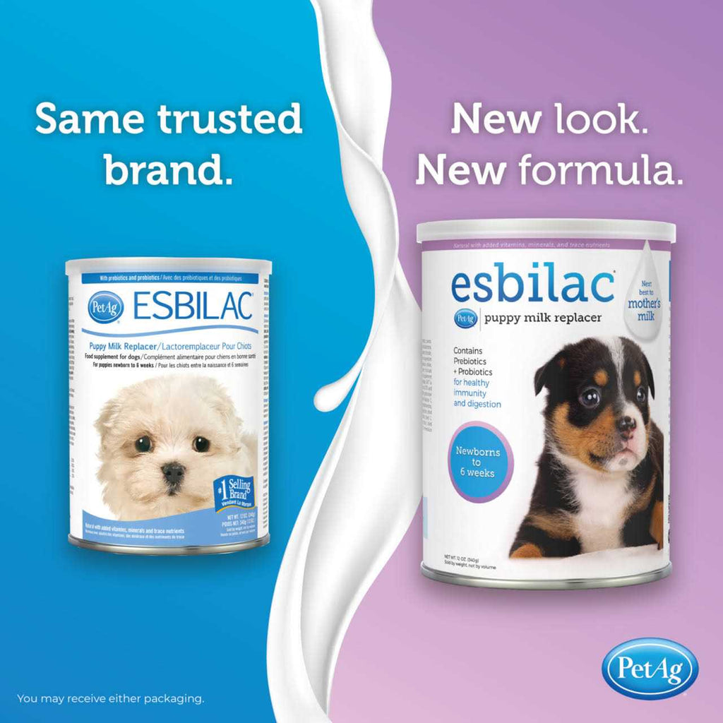 Puppy Milk Replacer Powder T782881