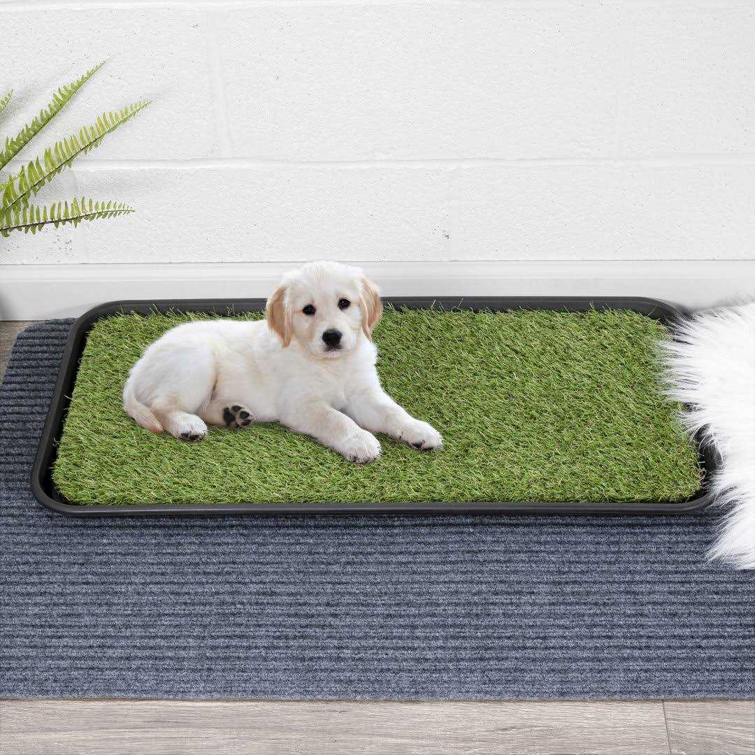Non-Slip Easy Clean Indoor/Outdoor Tray with Reusable Grass Pad W74512