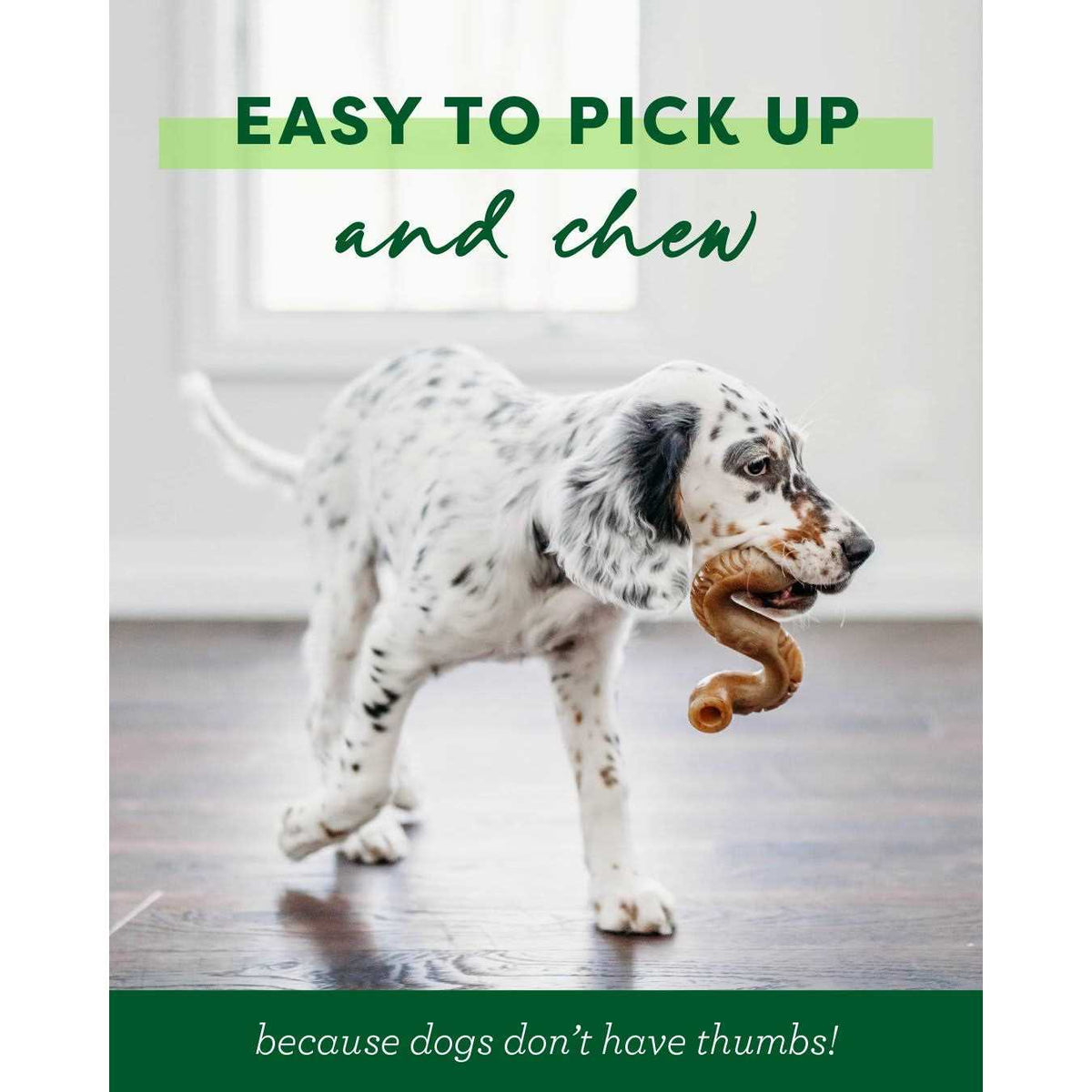 Dog Chew Q783