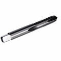 #1-64 High Speed Steel 2 Flute Spiral Point Tap (Pack of 12) N808685