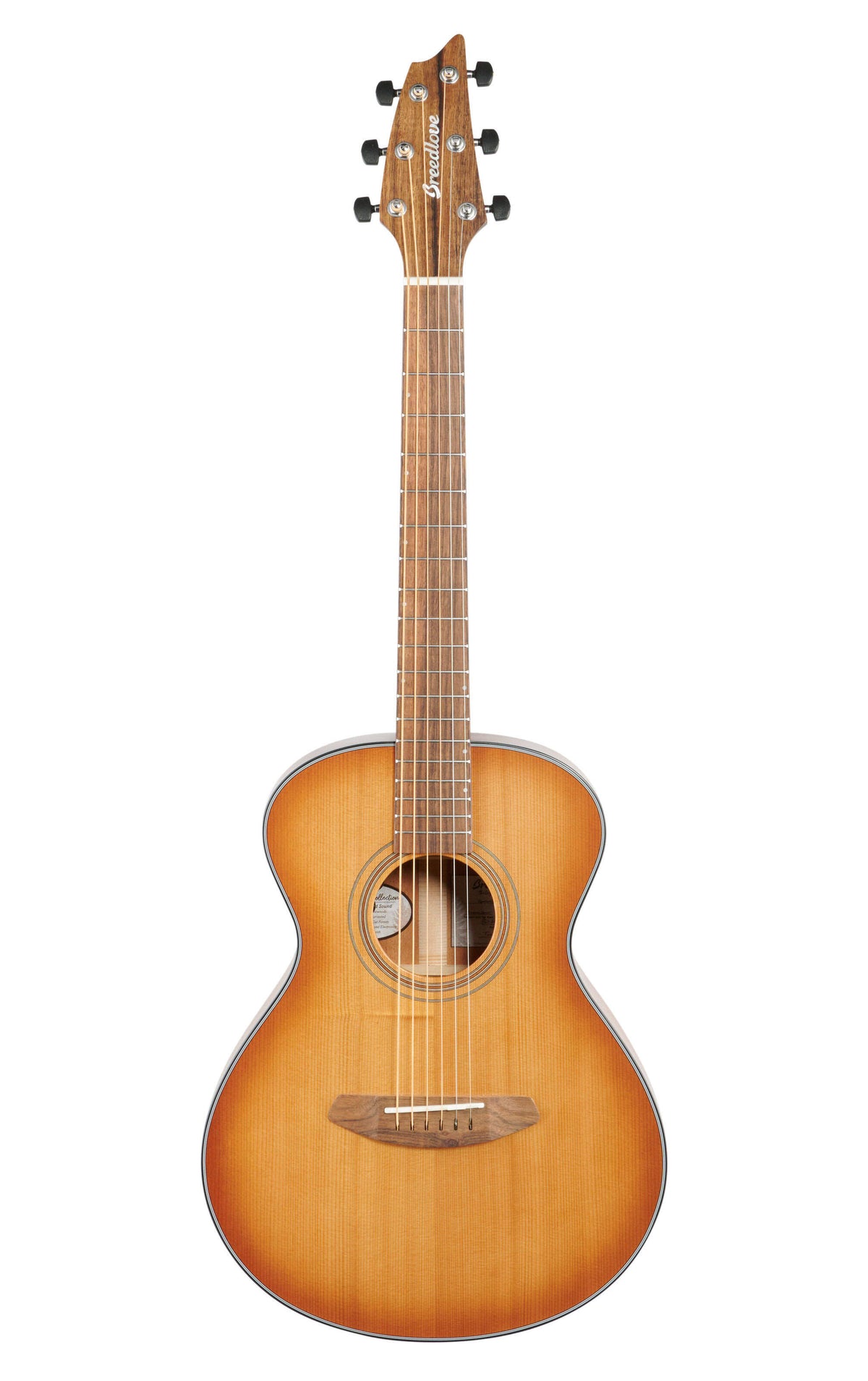 Copper E Acoustic-Electric Guitar S217
