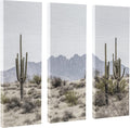 3 Piece 12 x 28 Canvas Wall Art Set J1474