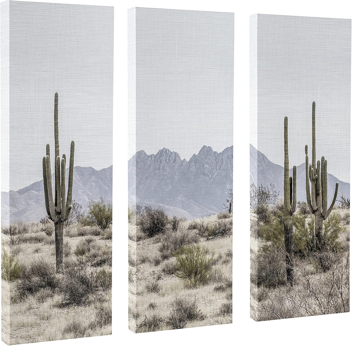 3 Piece 12 x 28 Canvas Wall Art Set J1474