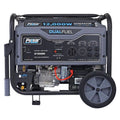 12,000W Dual Fuel Portable Generator in Space Gray with Electric Start D369