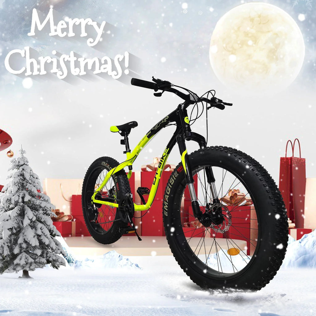 26-inch Fat Tire 21-Speed Mountain Bike K2006