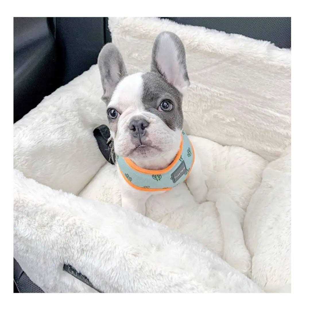 Ivory Dog Car Seat Bed A44784