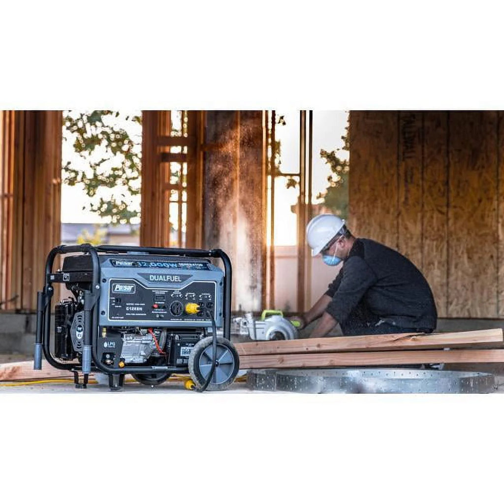12,000W Dual Fuel Portable Generator in Space Gray with Electric Start D369