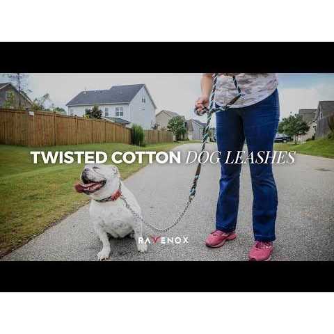Dog Leash with Chain S22101