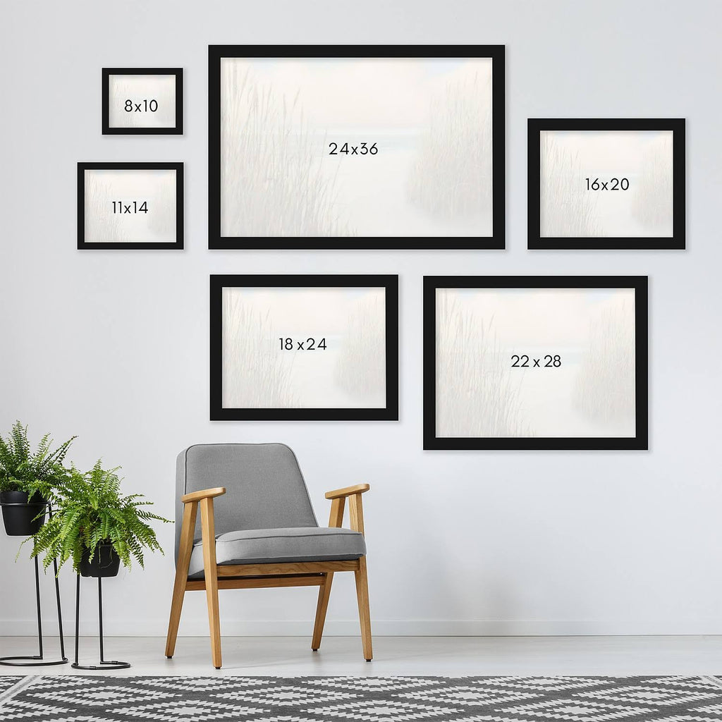 Black Framed Print 16x20 I86862