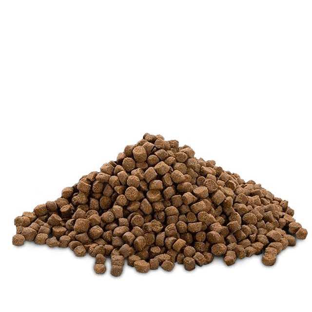High Protein Puppy Food B28450
