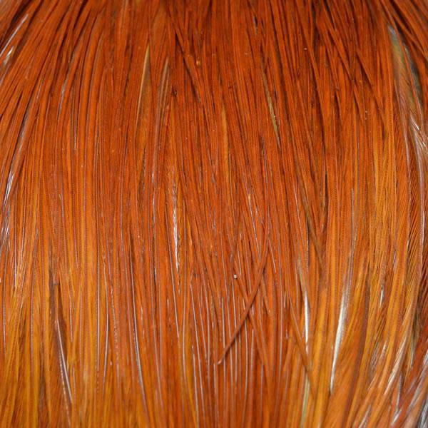 Brown Hackle Cape O176504