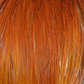 Brown Hackle Cape O176504