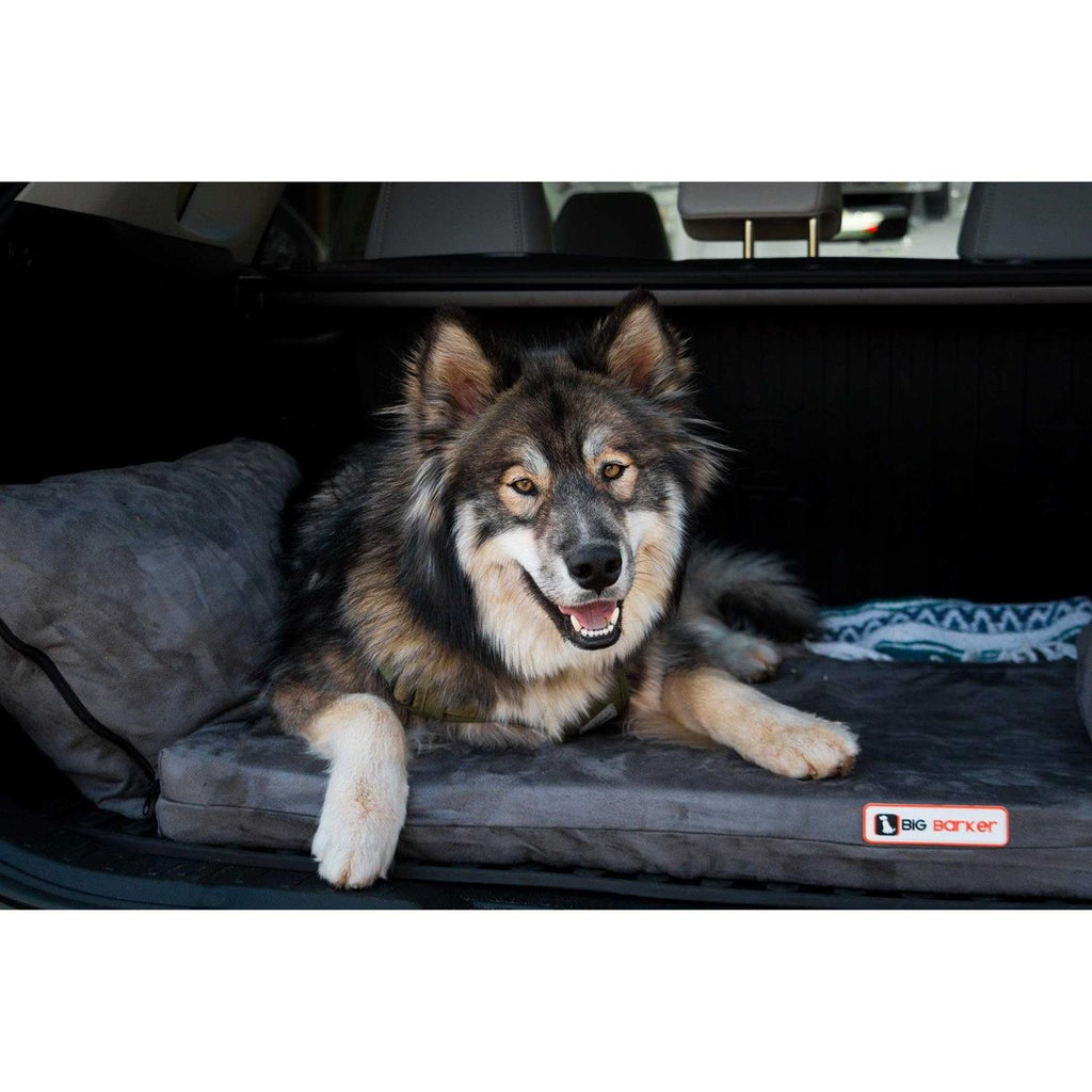 Travel Bed W941