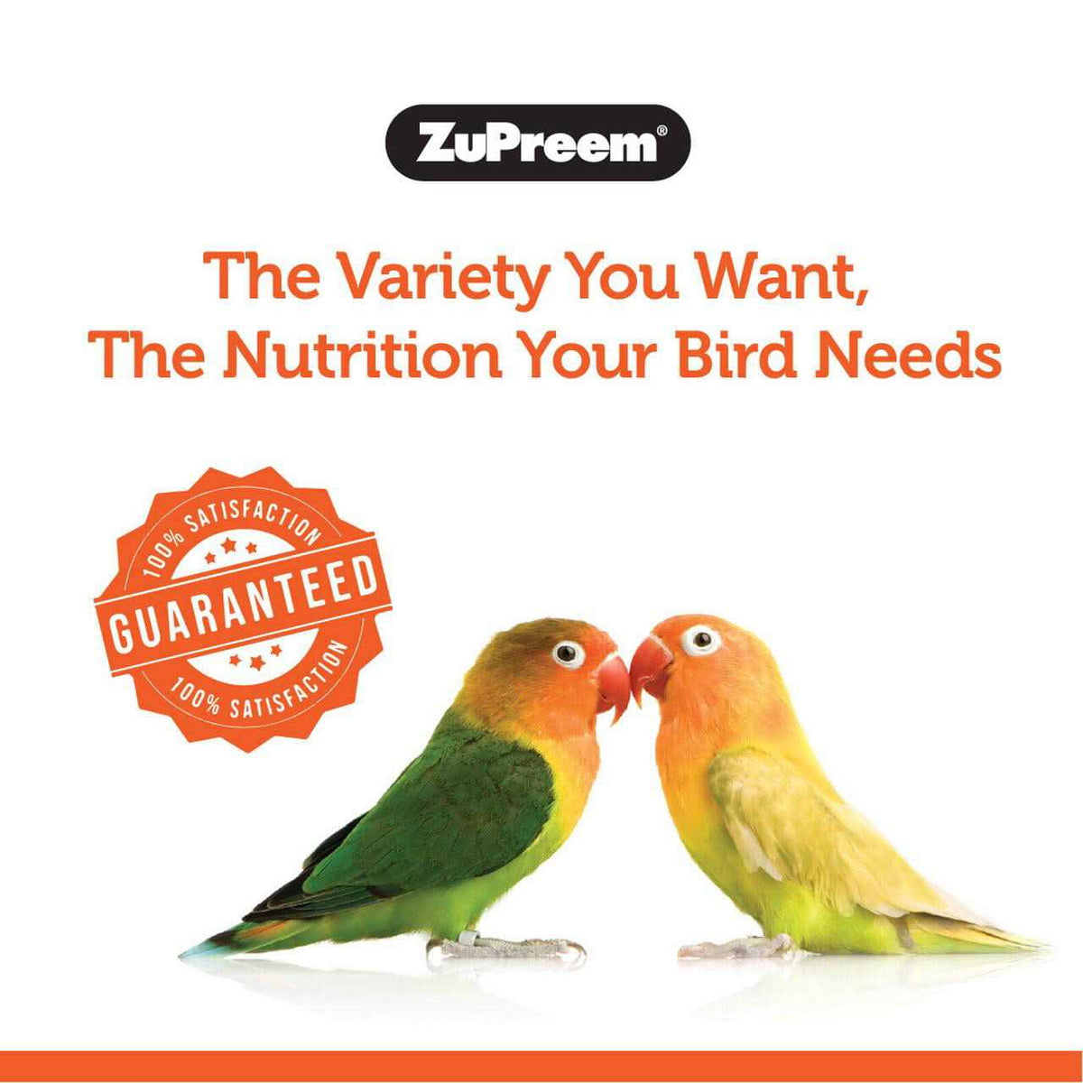 PastaBlend Food for Medium Birds H8509