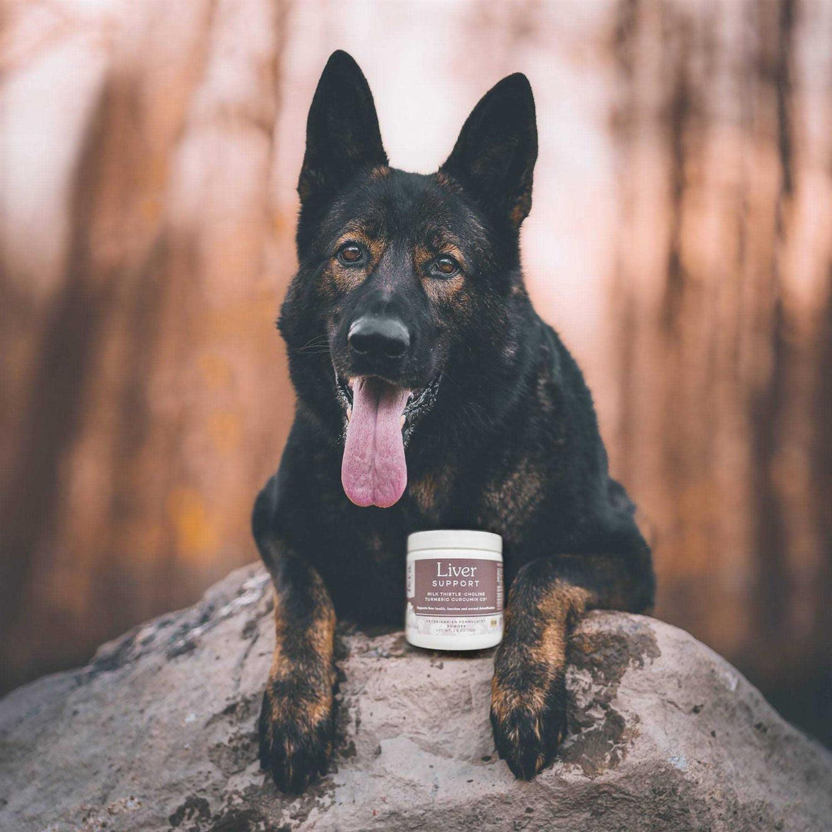 Liver Support for Dogs & Cats A773