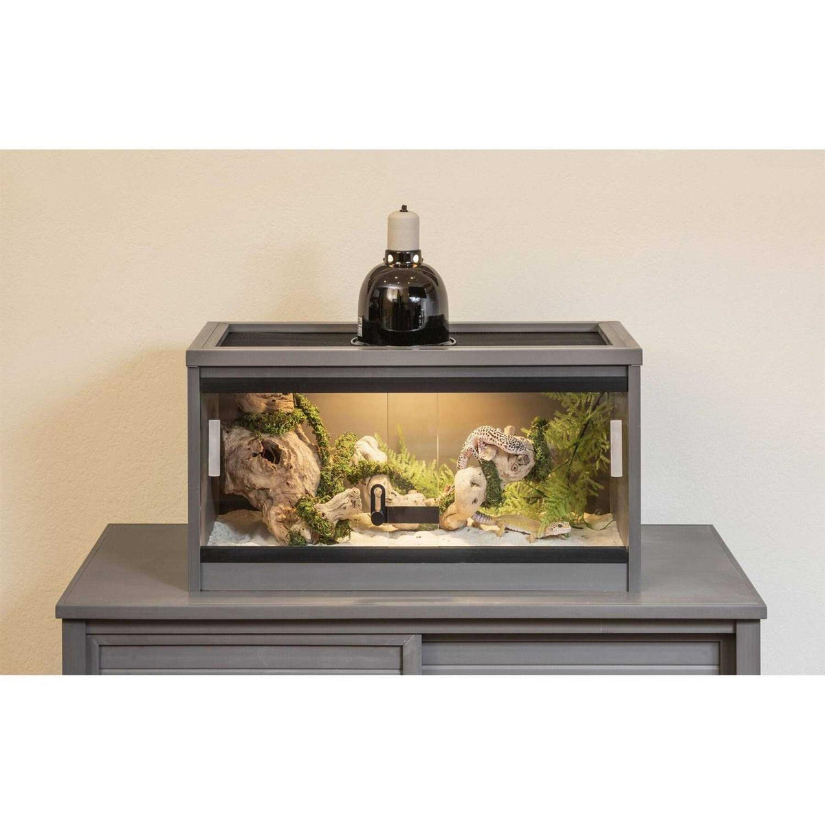 Reptile Lounge V867202