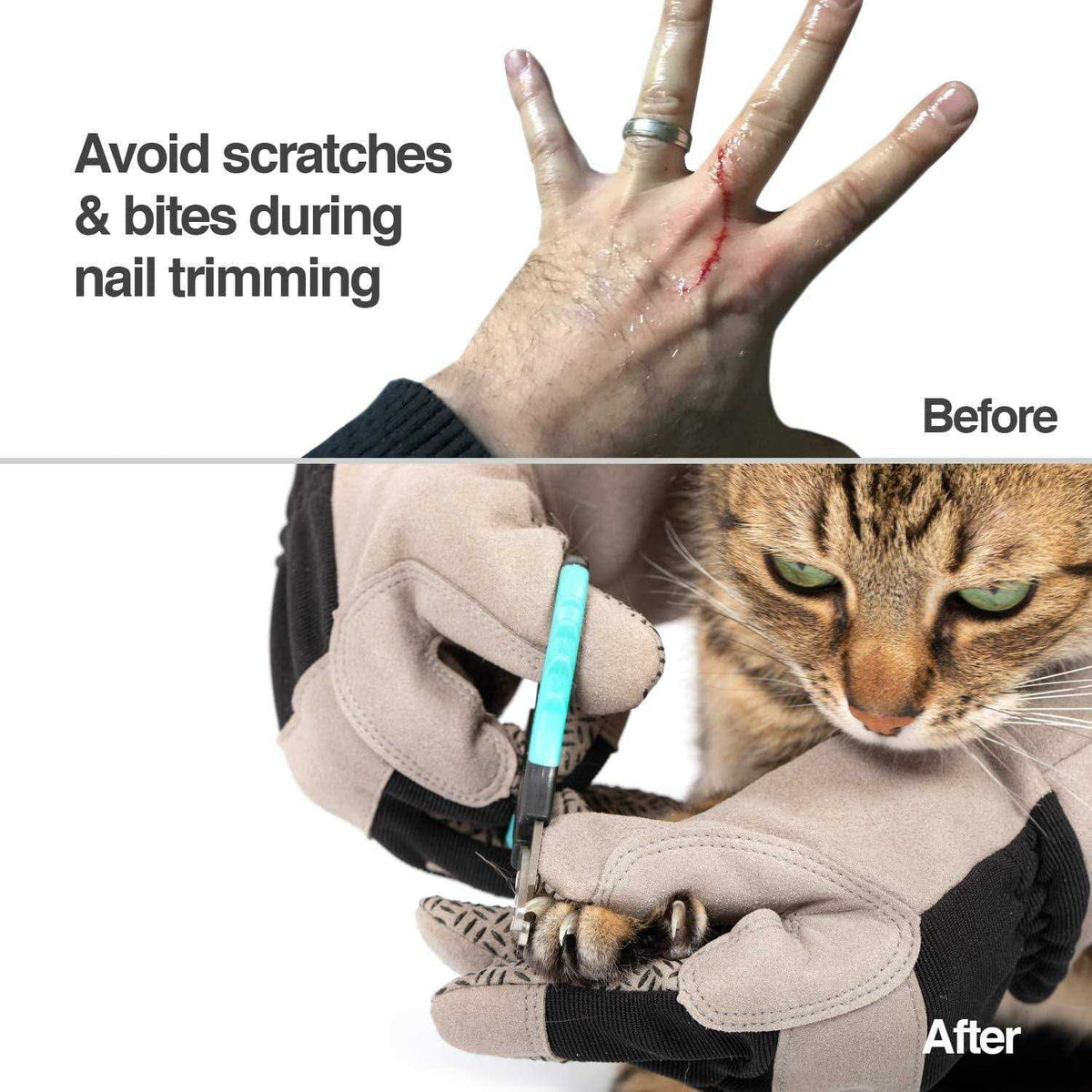 Multipurpose Pet Grooming Glove G11801